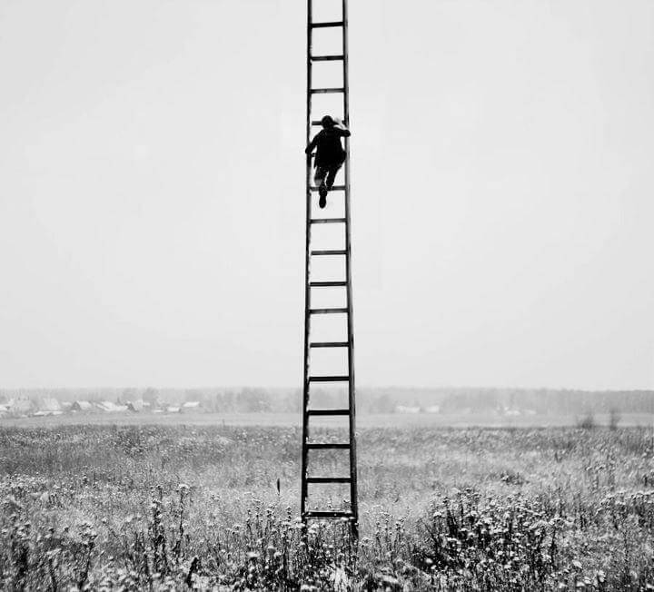 اریکا جونگ (رمان‌نویس و شاعر آمریکایی)